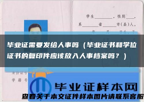 毕业证需要发给人事吗（毕业证书和学位证书的复印件应该放入人事档案吗？）缩略图