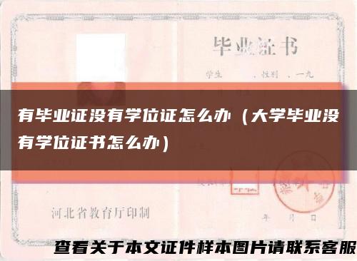 有毕业证没有学位证怎么办（大学毕业没有学位证书怎么办）缩略图