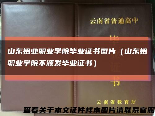 山东铝业职业学院毕业证书图片（山东铝职业学院不颁发毕业证书）缩略图