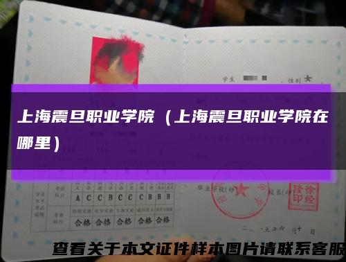 上海震旦职业学院（上海震旦职业学院在哪里）缩略图