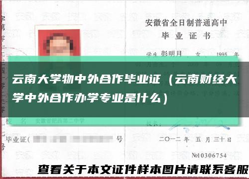 云南大学物中外合作毕业证（云南财经大学中外合作办学专业是什么）缩略图