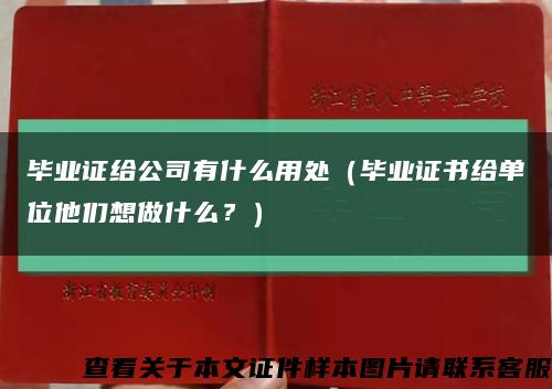 毕业证给公司有什么用处（毕业证书给单位他们想做什么？）缩略图