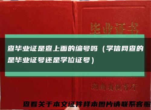 查毕业证是查上面的编号吗（学信网查的是毕业证号还是学位证号）缩略图