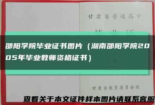 邵阳学院毕业证书图片（湖南邵阳学院2005年毕业教师资格证书）缩略图