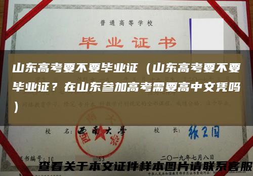 山东高考要不要毕业证（山东高考要不要毕业证？在山东参加高考需要高中文凭吗）缩略图