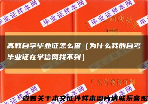 高教自学毕业证怎么查（为什么我的自考毕业证在学信网找不到）缩略图