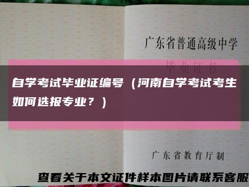 自学考试毕业证编号（河南自学考试考生如何选报专业？）缩略图