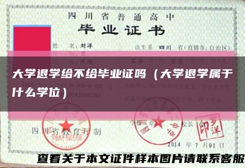 大学退学给不给毕业证吗（大学退学属于什么学位）缩略图