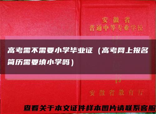 高考需不需要小学毕业证（高考网上报名简历需要填小学吗）缩略图