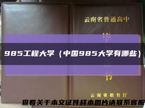 985工程大学（中国985大学有哪些）缩略图