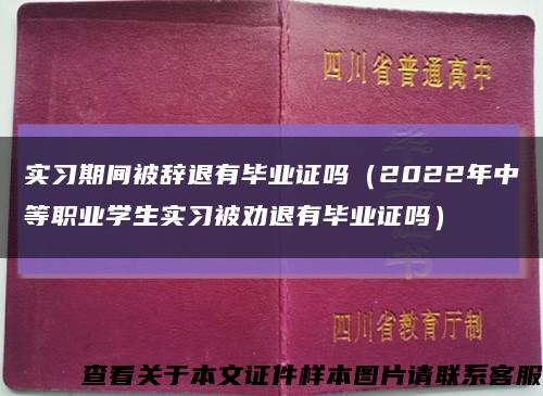 实习期间被辞退有毕业证吗（2022年中等职业学生实习被劝退有毕业证吗）缩略图