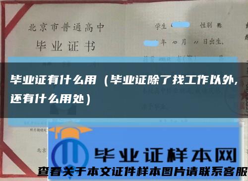 毕业证有什么用（毕业证除了找工作以外,还有什么用处）缩略图