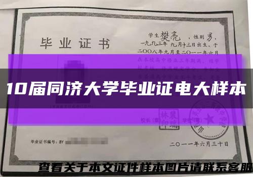 10届同济大学毕业证电大样本缩略图