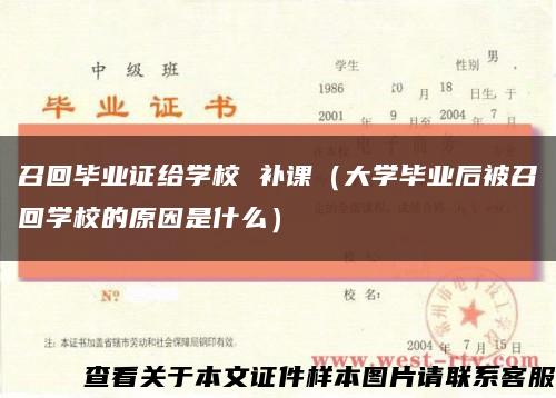 召回毕业证给学校 补课（大学毕业后被召回学校的原因是什么）缩略图