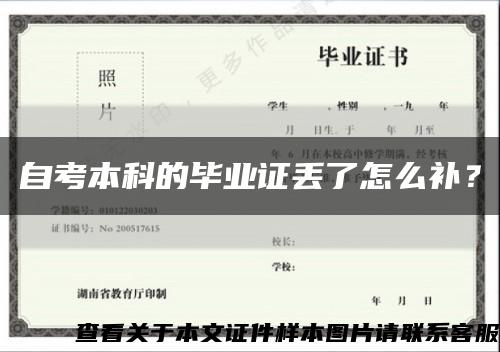 自考本科的毕业证丢了怎么补？缩略图