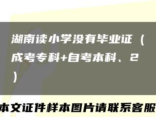 湖南读小学没有毕业证（成考专科+自考本科、2）缩略图