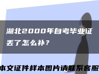 湖北2000年自考毕业证丢了怎么补？缩略图