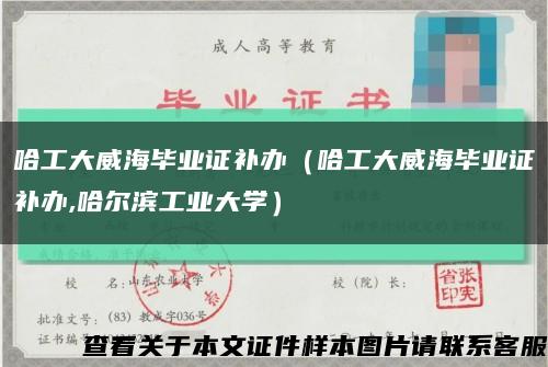 哈工大威海毕业证补办（哈工大威海毕业证补办,哈尔滨工业大学）缩略图