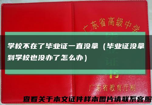 学校不在了毕业证一直没拿（毕业证没拿到学校也没办了怎么办）缩略图