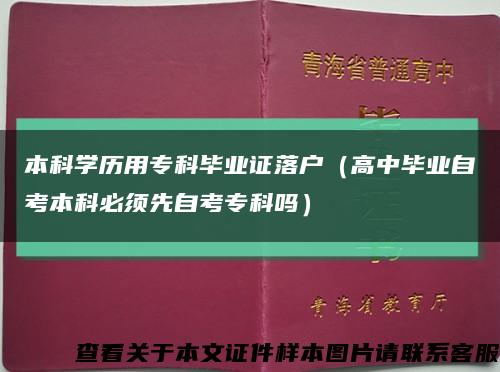 本科学历用专科毕业证落户（高中毕业自考本科必须先自考专科吗）缩略图