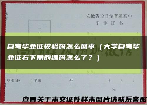 自考毕业证校验码怎么回事（大学自考毕业证右下角的编码怎么了？）缩略图