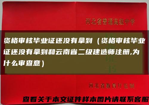 资格审核毕业证还没有拿到（资格审核毕业证还没有拿到和云南省二级建造师注册,为什么审查意）缩略图