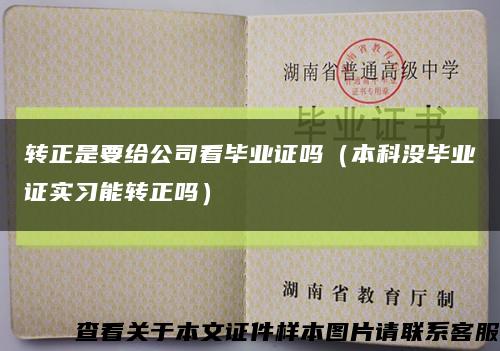 转正是要给公司看毕业证吗（本科没毕业证实习能转正吗）缩略图