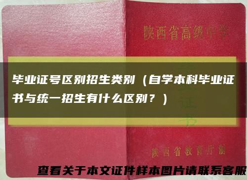 毕业证号区别招生类别（自学本科毕业证书与统一招生有什么区别？）缩略图