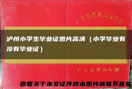 泸州小学生毕业证图片高清（小学毕业有没有毕业证）缩略图