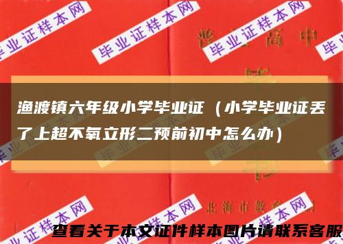 渔渡镇六年级小学毕业证（小学毕业证丢了上超不氧立形二预前初中怎么办）缩略图