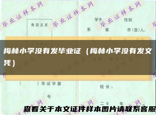 梅林小学没有发毕业证（梅林小学没有发文凭）缩略图