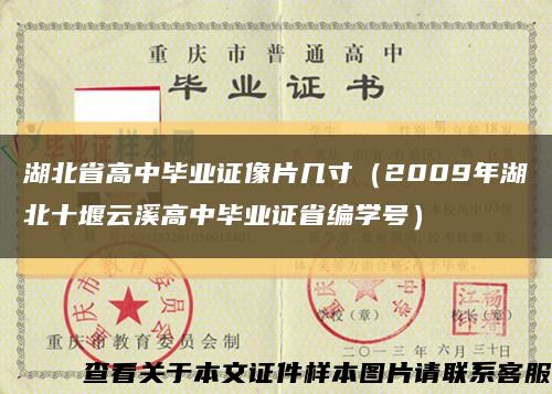 湖北省高中毕业证像片几寸（2009年湖北十堰云溪高中毕业证省编学号）缩略图