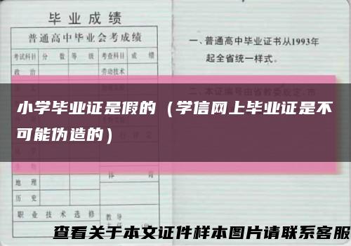 小学毕业证是假的（学信网上毕业证是不可能伪造的）缩略图