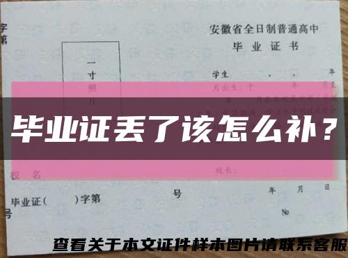 毕业证丢了该怎么补？缩略图