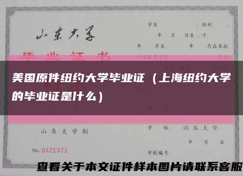 美国原件纽约大学毕业证（上海纽约大学的毕业证是什么）缩略图