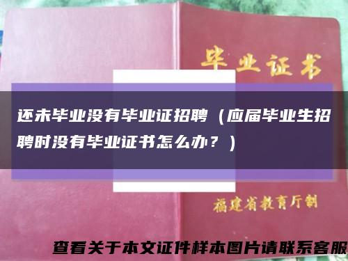 还未毕业没有毕业证招聘（应届毕业生招聘时没有毕业证书怎么办？）缩略图