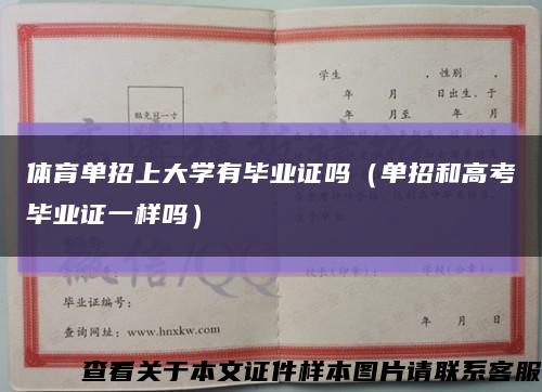 体育单招上大学有毕业证吗（单招和高考毕业证一样吗）缩略图