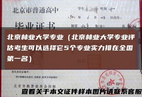 北京林业大学专业（北京林业大学专业评估考生可以选择它5个专业实力排在全国第一名）缩略图