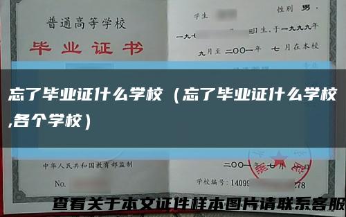 忘了毕业证什么学校（忘了毕业证什么学校,各个学校）缩略图