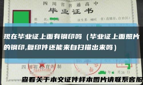 现在毕业证上面有钢印吗（毕业证上面照片的钢印,复印件还能来自扫描出来吗）缩略图