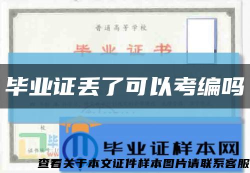 毕业证丢了可以考编吗缩略图