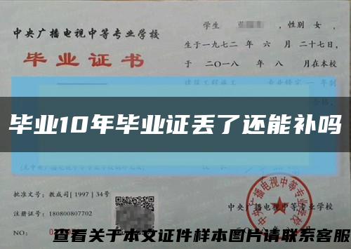 毕业10年毕业证丢了还能补吗缩略图