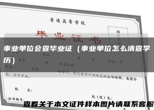 事业单位会查毕业证（事业单位怎么清查学历）缩略图