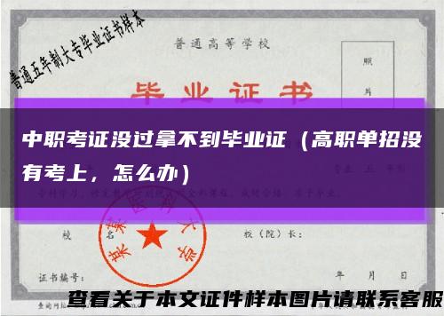 中职考证没过拿不到毕业证（高职单招没有考上，怎么办）缩略图