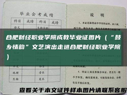 合肥财经职业学院成教毕业证图片（“鼓乡情韵”文艺演出走进合肥财经职业学院）缩略图