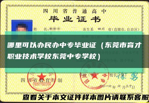 哪里可以办民办中专毕业证（东莞市育才职业技术学校东莞中专学校）缩略图