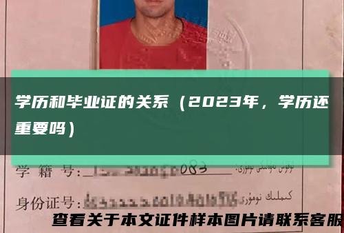 学历和毕业证的关系（2023年，学历还重要吗）缩略图