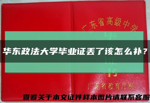 华东政法大学毕业证丢了该怎么补？缩略图