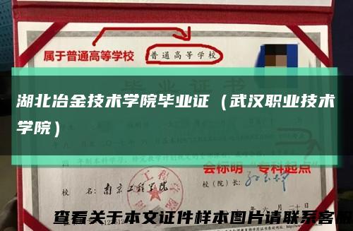 湖北冶金技术学院毕业证（武汉职业技术学院）缩略图