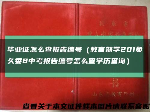 毕业证怎么查报告编号（教育部学201负久委8中考报告编号怎么查学历查询）缩略图